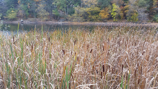 Park «Town of Arlington Menotomy Rocks Park», reviews and photos, 129 Jason St, Arlington, MA 02476, USA