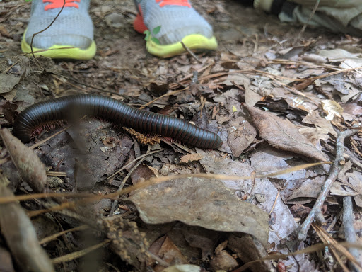 Tourist Attraction «Allatoona Lake Visitor Center & Museum», reviews and photos, 1138 GA-20 Spur, Cartersville, GA 30121, USA