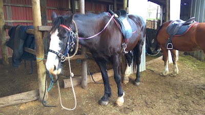 Photos of Rundell&rsquo;s Mahogany Trail Rides