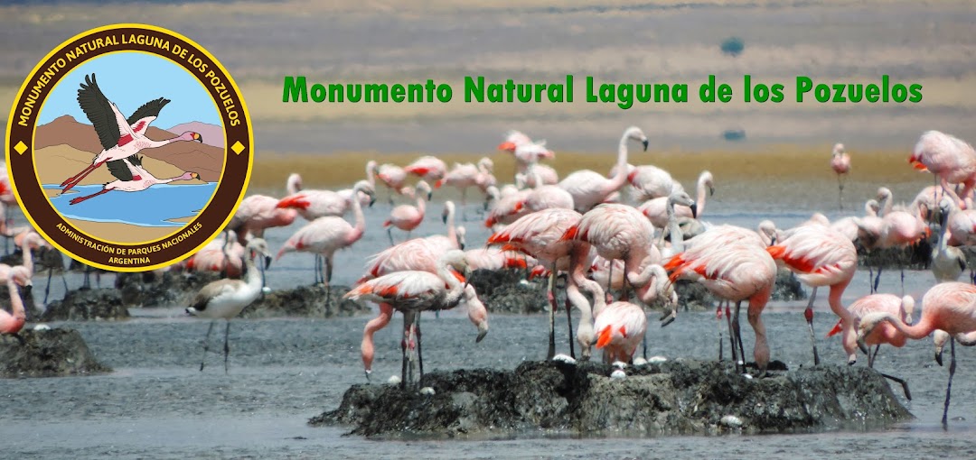 Monumento Natural Laguna de los Pozuelos - APN