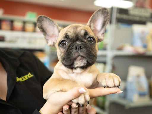 Pet Store «Petland Pembroke Pines», reviews and photos, 356 N University Dr, Pembroke Pines, FL 33024, USA