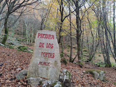 Ruta del Hayedo de Busmayor C. Calella, 24521 Busmayor, León, España