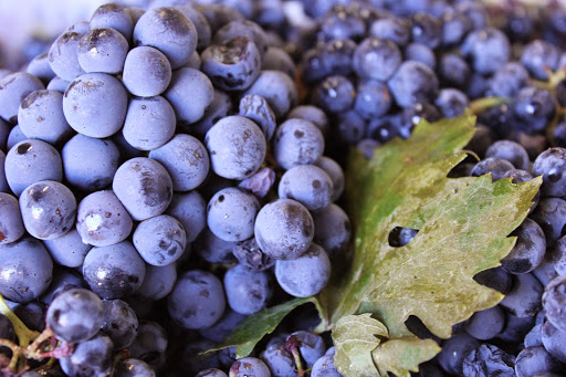 Winery «Fieldstone Winery & Hard Cider», reviews and photos, 223 S Main St, Rochester, MI 48307, USA