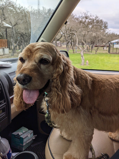 Kennel «Pet Galaxy», reviews and photos, 13060 US-281, Spring Branch, TX 78070, USA