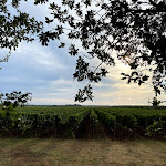 Photo n°2 de l'avis de Alessandro.o fait le 21/08/2020 à 12:17 sur le  Osteria del Tasso à Bolgheri