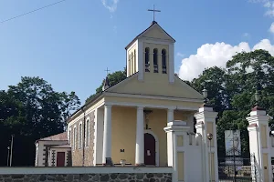 Alytus Saint Louis Catholic church image