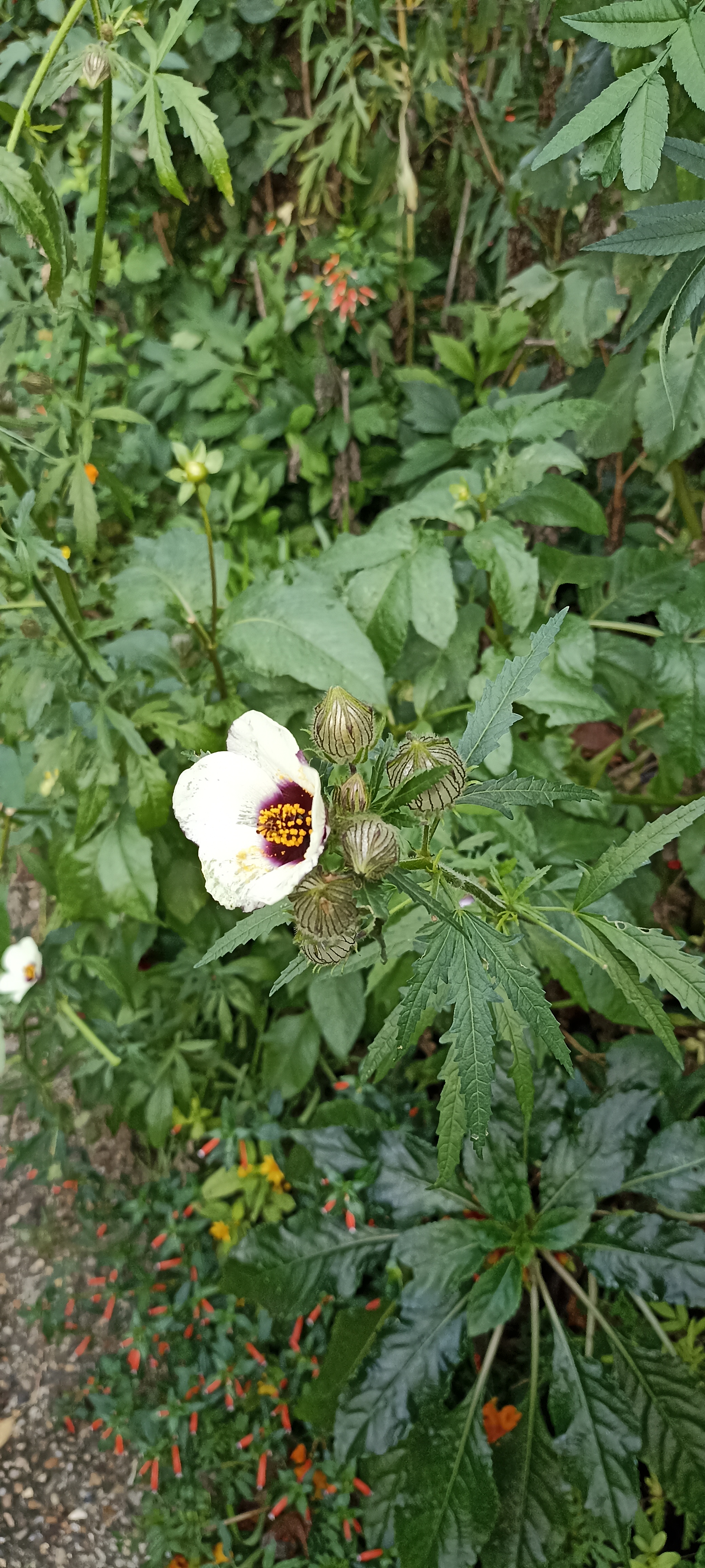 Photo n° 14 de l'avis de Verginia.H fait le 01/11/2022 à 18:08