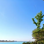 Photo n°4 de l'avis de Marianna.i fait le 14/04/2024 à 13:12 sur le  Ristorante Alla Vecchia Finanza à Lignano Sabbiadoro