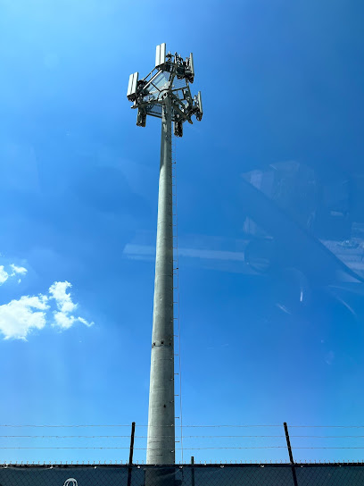 The Phone Tower near Dans Place