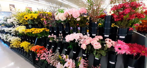 Craft Store «Hobby Lobby», reviews and photos, 1560 Military Rd, Niagara Falls, NY 14304, USA