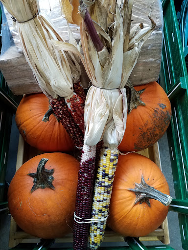 General Store «Harvest Co-Op Markets», reviews and photos, 3815 Washington St, Jamaica Plain, MA 02130, USA