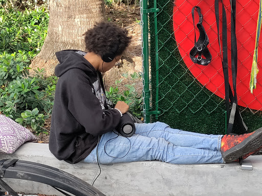 Pet Supply Store «Dog Bar», reviews and photos, 1684 Jefferson Ave, Miami Beach, FL 33139, USA