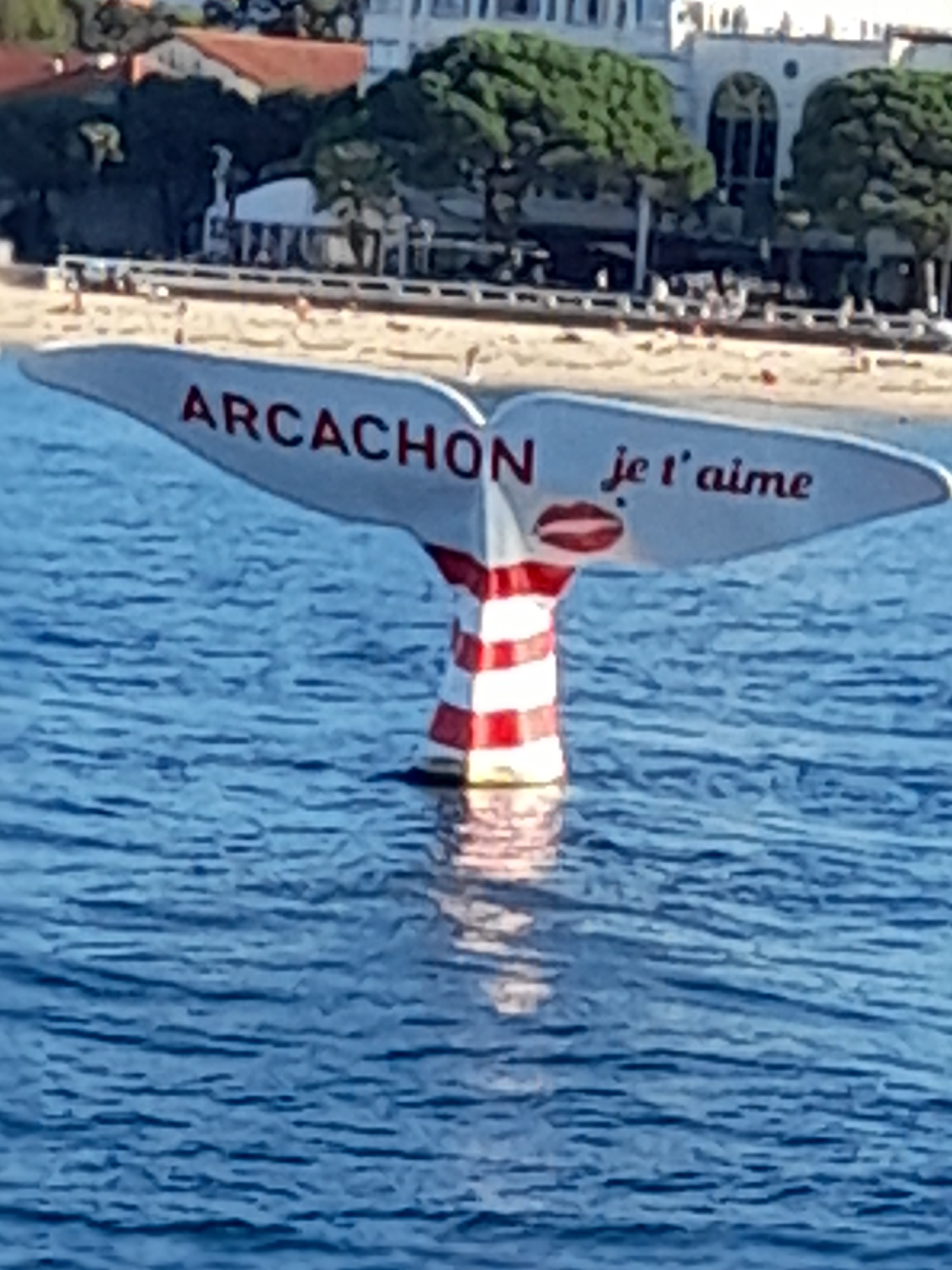 Photo n° 1 de l'avis de Evelyne.s fait le 31/10/2023 à 05:38