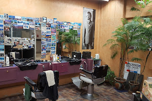 Diplomat Men's Hairdressers