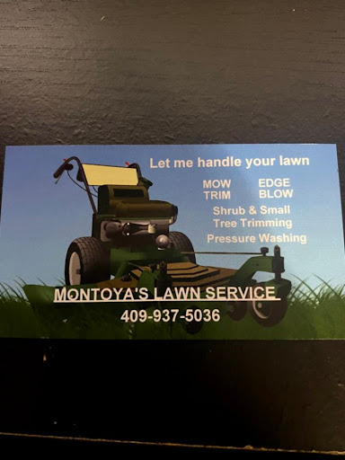 Montoyas lawn service