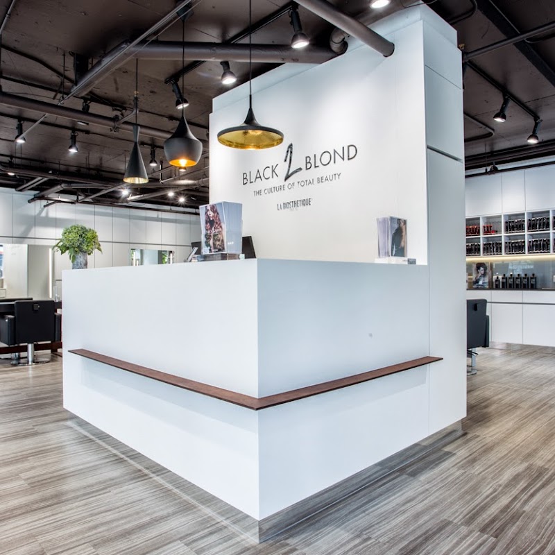 Black 2 Blond Salon and Spa