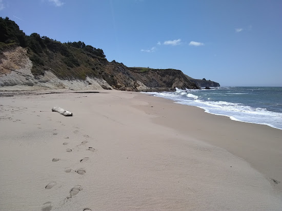 Bowling Ball Beach