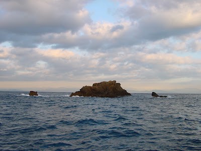 小下田トビシマ