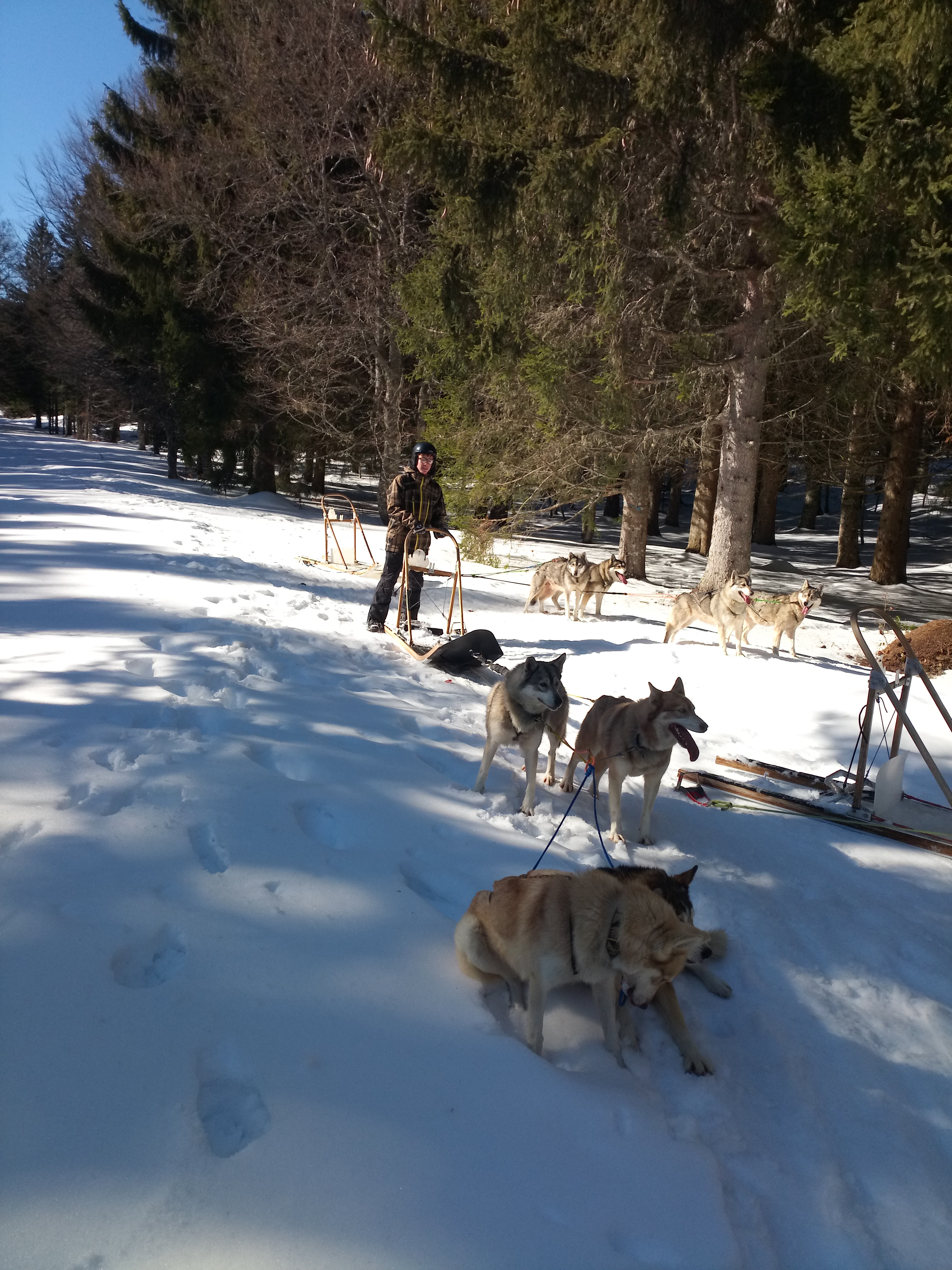 Photo n° 11 de l'avis de Nomade74. fait le 15/02/2019 à 14:49