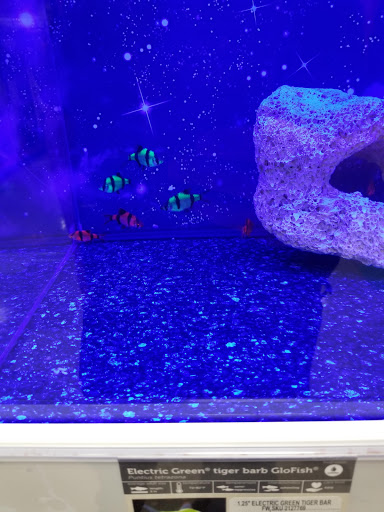 Pet Supply Store «Petco Animal Supplies», reviews and photos, 10235 Indianapolis Blvd, Highland, IN 46322, USA