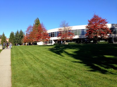 university