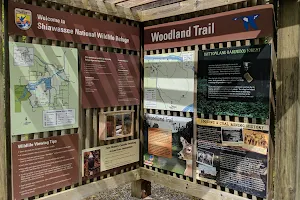 Woodland Trail image