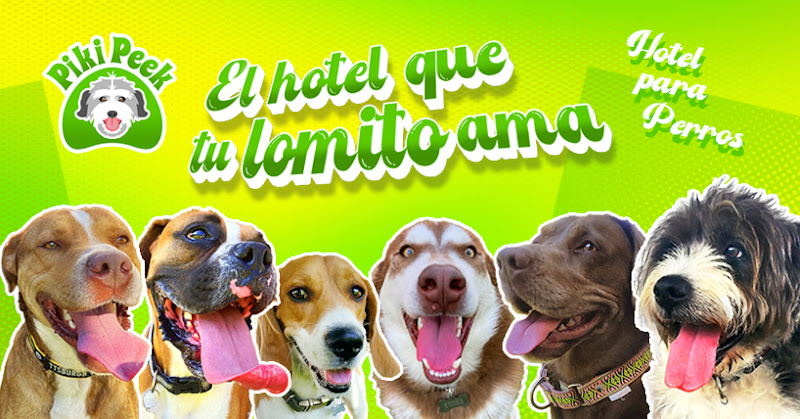 Piki Peek Guardería y Hotel canino