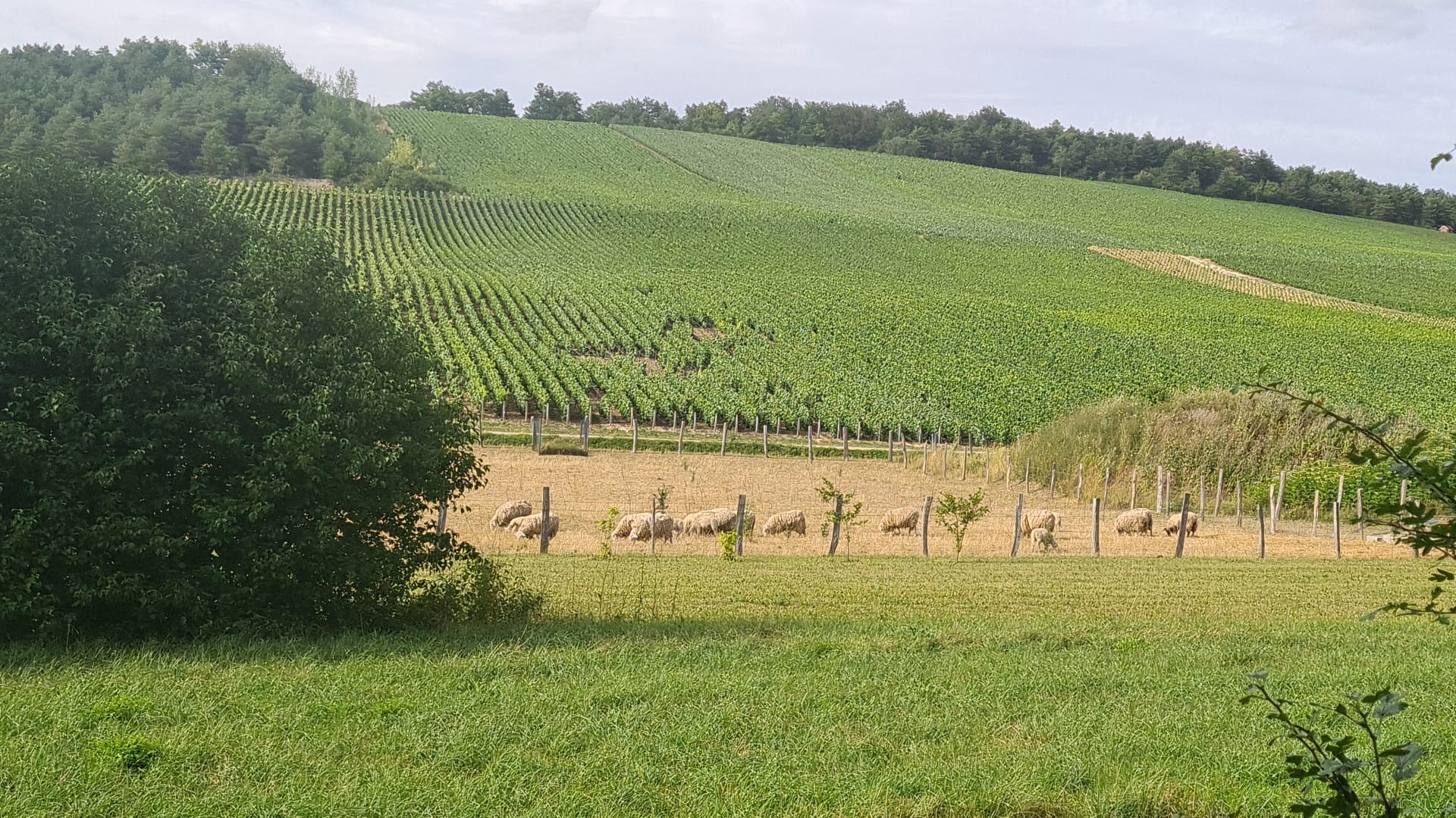 Photo n° 4 de l'avis de Caroline.r fait le 21/07/2023 à 19:56