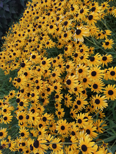 Stadium «Great American Ball Park», reviews and photos, 100 Joe Nuxhall Way, Cincinnati, OH 45202, USA