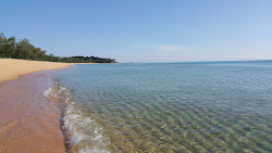 Pantai Teluk Bidara'in fotoğrafı çok temiz temizlik seviyesi ile