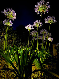 Photo n°12 de GRAND ECLAIRAGE LED Concepteur lumière à Biganos ()