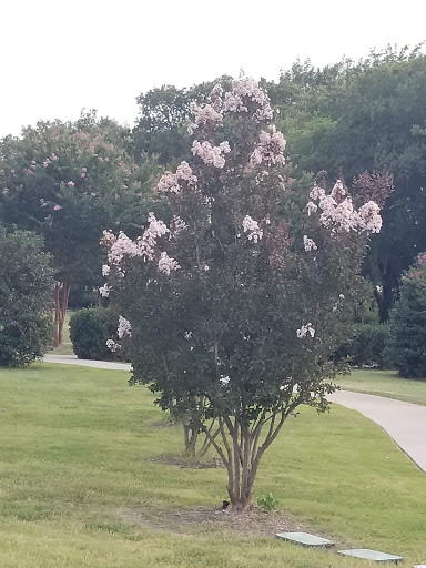 Park «The Crape Myrtle Trails of McKinney», reviews and photos, 6452 Collin McKinney Pkwy, McKinney, TX 75070, USA