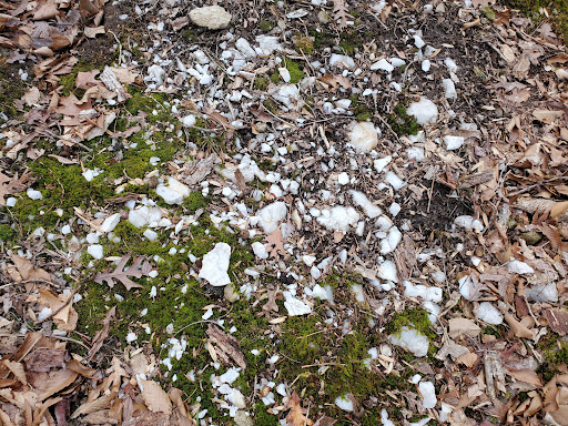 Park «Fairfax Villa Park», reviews and photos, 11399 Park Dr, Fairfax, VA 22030, USA