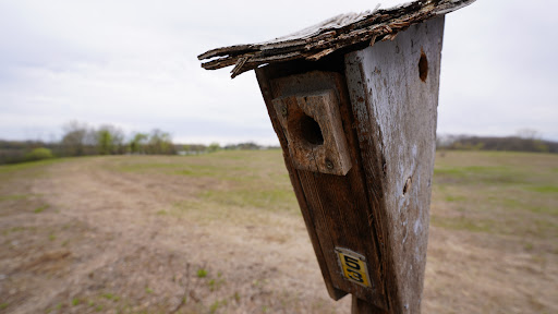 Nature Preserve «Volo Bog», reviews and photos, 28478 W Brandenburg Rd, Ingleside, IL 60041, USA