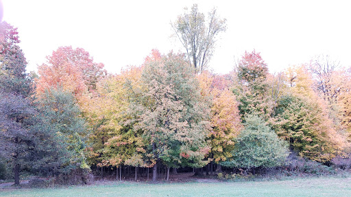 Nature Preserve «For-Mar Nature Preserve & Arboretum», reviews and photos, 2142 N Genesee Rd, Burton, MI 48509, USA