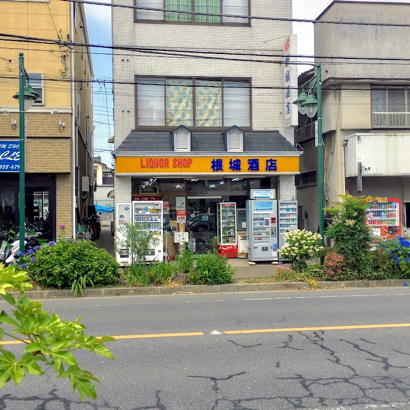 大阪屋根城酒店