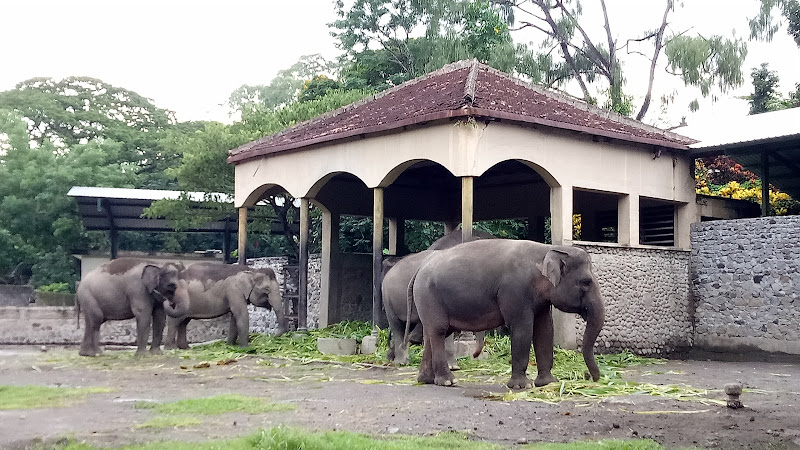 Taman Reptil Gembira Loka Zoo