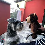 Photo n°29 de l'avis de Viktoria.f fait le 03/08/2021 à 13:03 sur le  Le Ville Relais à La Spezia