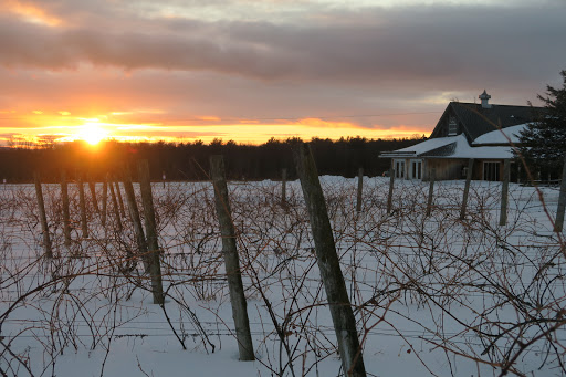 Winery «Snow Farm Vineyard & Winery», reviews and photos, 190 W Shore Rd, South Hero, VT 05486, USA