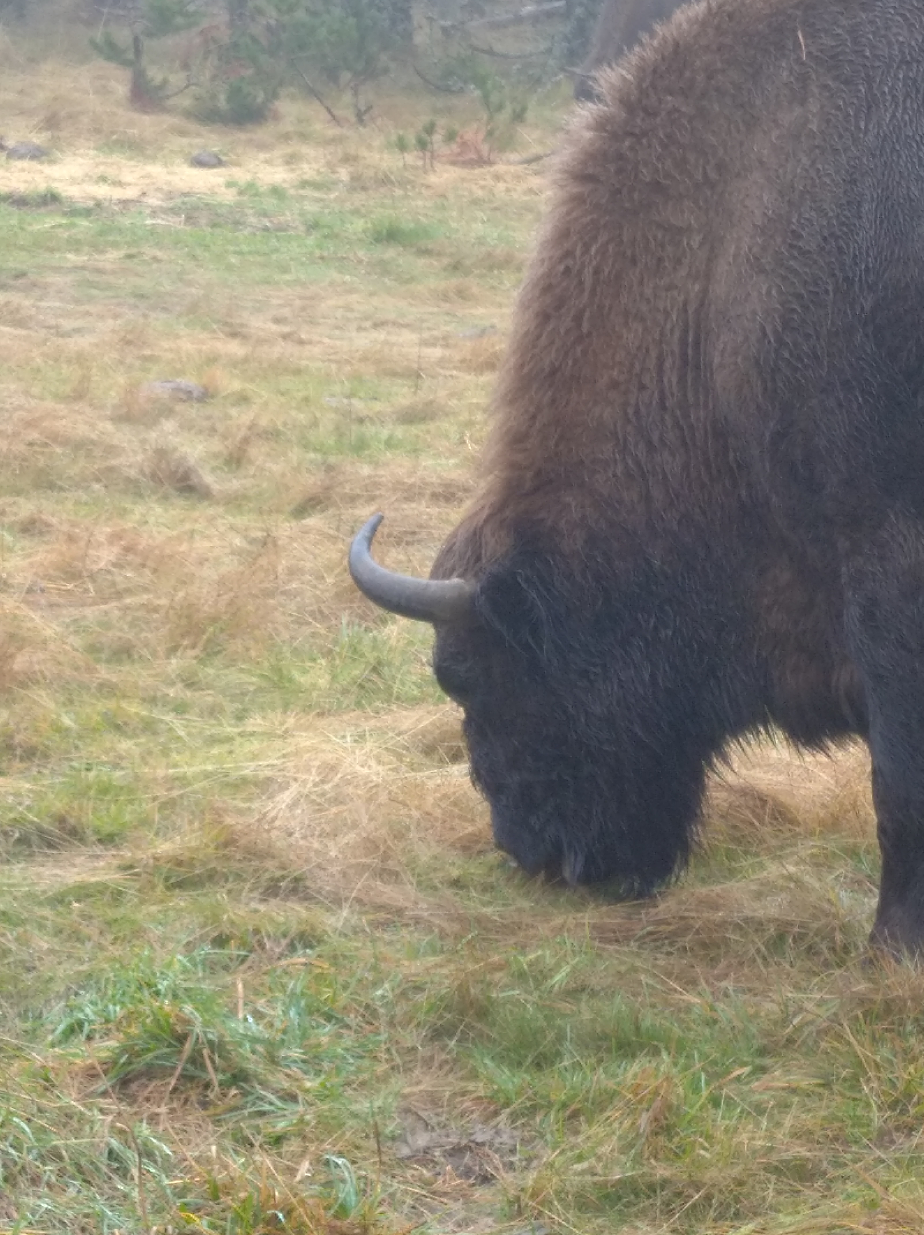 Photo n° 8 de l'avis de Sandrine.J fait le 04/01/2022 à 20:49