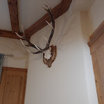 Photo n°2 de l'avis de Silvia.a fait le 01/08/2021 à 19:46 sur le  La pergola à Ponte di Legno