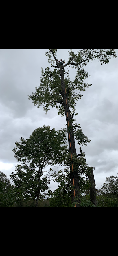 J&C Tree Service