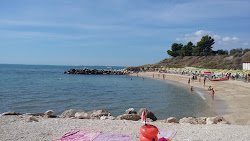 Photo de Spiaggia di Lido Macchia avec un niveau de propreté de très propre