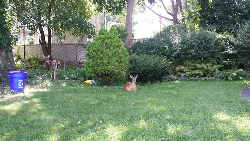 Home Improvement Store «Benjamin Brothers True Value Hardware», reviews and photos, 121 N Summit St, Tenafly, NJ 07670, USA