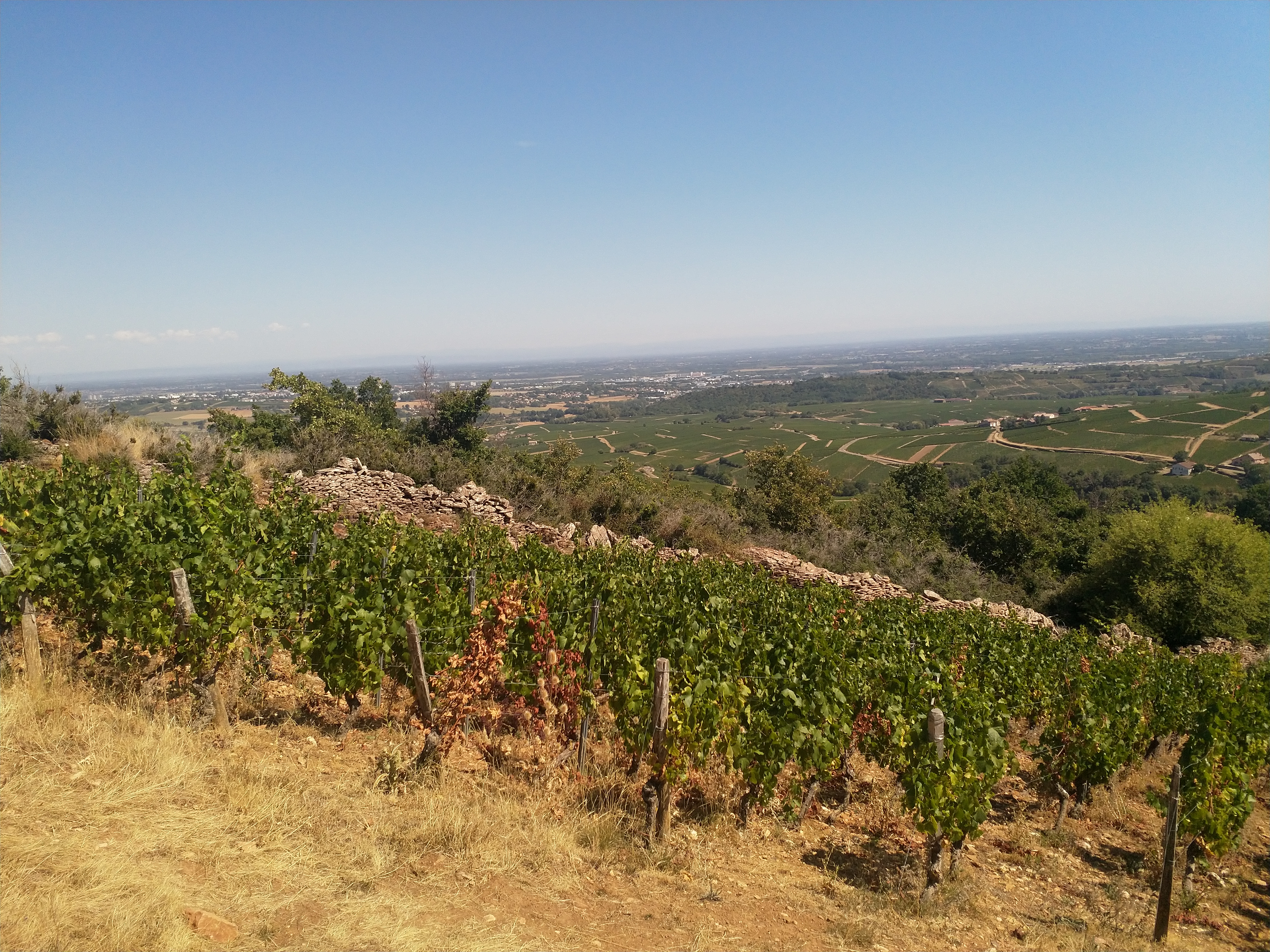 Photo n° 6 de l'avis de clement.h fait le 26/08/2020 à 15:13