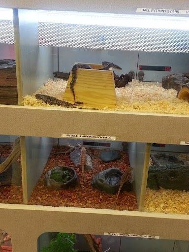 Pet Store «Friendly Pets», reviews and photos, 625 Friendly Center Rd, Greensboro, NC 27408, USA