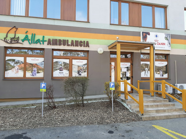 Noé Állatambulancia