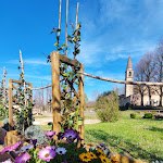 Photo n°2 de l'avis de Beatrice.a fait le 29/03/2023 à 15:48 sur le  Veleia Cafe à Velleia Romana