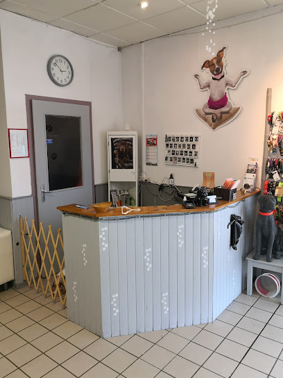 Salon de toilettage Esthétichien