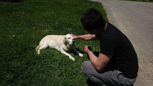 Winery «Dove Valley Vineyard», reviews and photos, 645 Harrington Rd, Rising Sun, MD 21911, USA